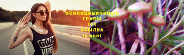 МДПВ Корсаков