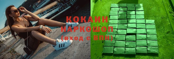 дживик Краснослободск