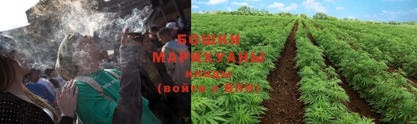 дживик Краснослободск