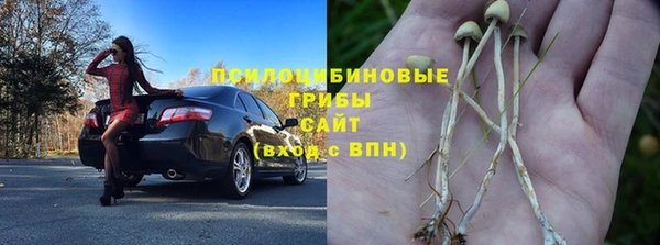 МДПВ Корсаков