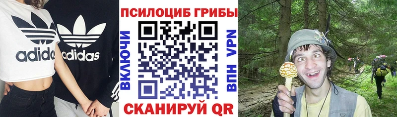 Купить где  Верхняя Пышма  Галлюциногенные грибы Magic Shrooms 